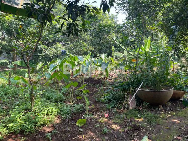 image TANAH STRATEGIS DI PARAKAN JATI BOJONGGEDE (4)