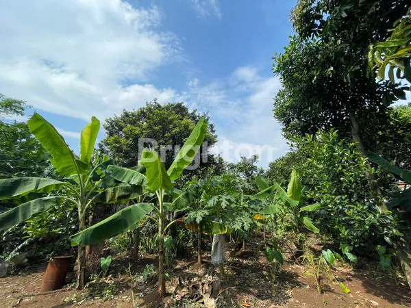 image TANAH STRATEGIS DI PARAKAN JATI BOJONGGEDE (2)