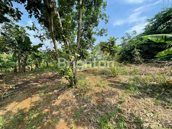 image TANAH STRATEGIS DI PARAKAN JATI BOJONG GEDE (6)