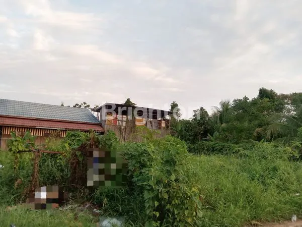 image TANAH DIJUAL (1)