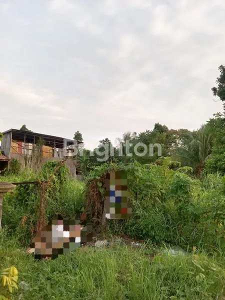 image TANAH DIJUAL (2)