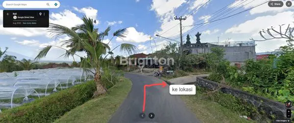 image SAWAH PRODUKTIF UNTUK BERINVESTASI JANGKA PANJANG DI KAWASAN PETANG BADUNG (4)