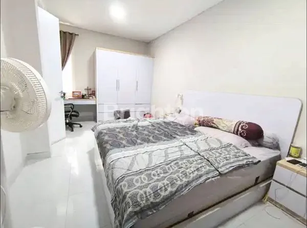 image PARAMOUNT PETAL - CLUSTER CANNA (2)