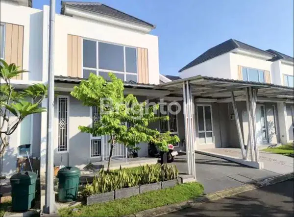 image PARAMOUNT PETAL - CLUSTER CANNA (1)