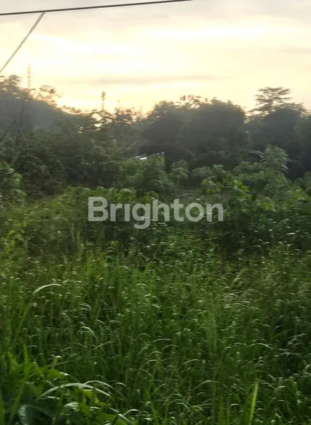 image INVESTASI TANAH 5800M², LOKASI PREMIUM CISAUK (1)