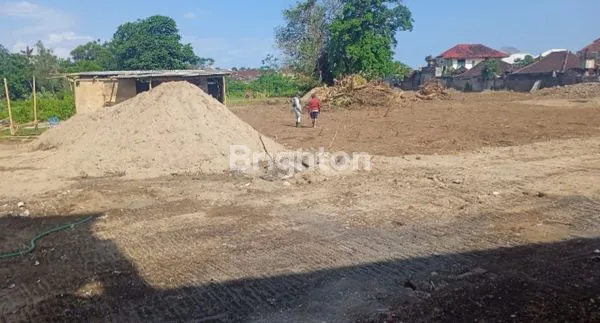 image TANAH DISEWA TUBAN (3)