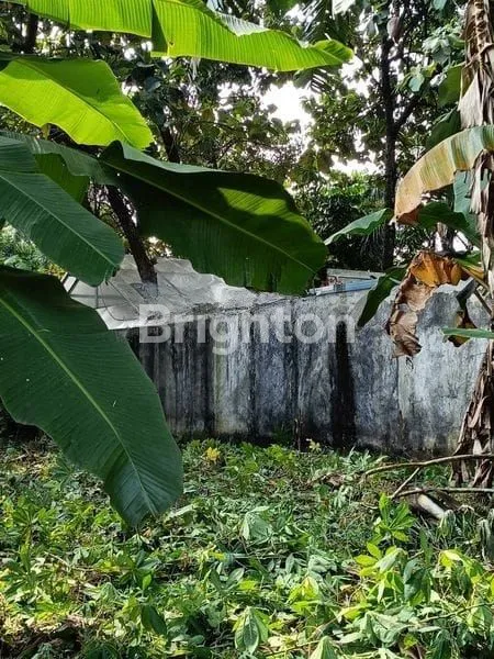 image TANAH KOSONG DEKAT JALAN RAYA COCOK UNTUK HUNIAN, USAHA (1)