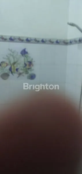 image RUMAH MINIMALIA MARGAHAYU BANDUNG (2)