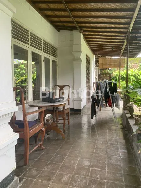 image SEWA RUMAH DI AREA KOMERSIL SANUR CENTRAL DAN JALAN KAKI KE PANTAI (5)