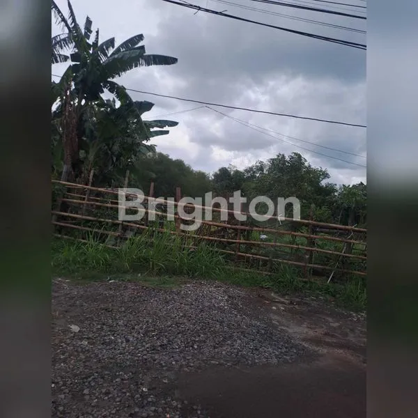 image TANAH PEKARANGAN DI KARTASURA (1)