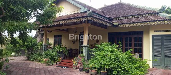 image RUMAH SIAP HUNI D TENGAH KOTA SOLO DEKAT MANGKUNEGARAN (1)
