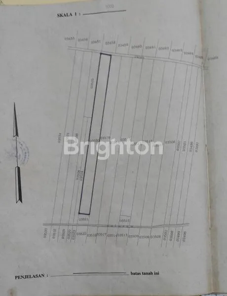 image TANAH SAWAH PASIF (3)