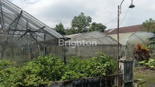 image TANAH 1.055 M2 DI KEMUNING KARANGANYAR (2)