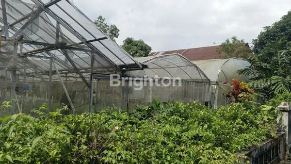 image TANAH 1.055 M2 DI KEMUNING KARANGANYAR (1)