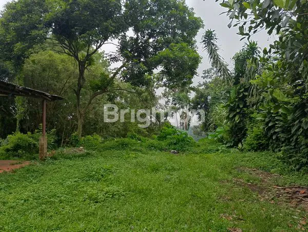 image DIJUAL TANAH KOMERSIAL (8)