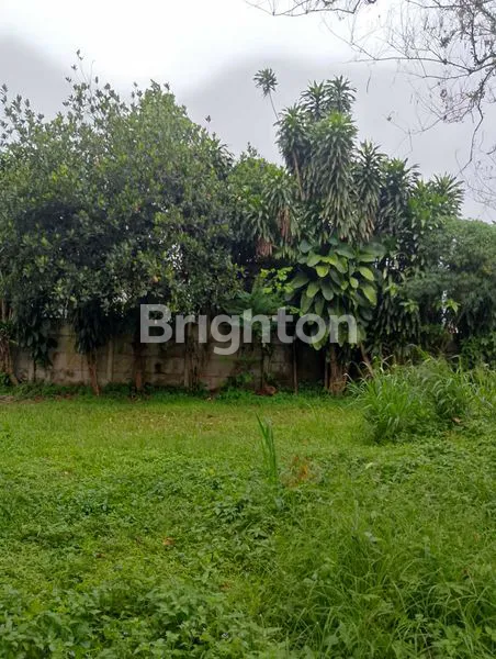 image DIJUAL TANAH KOMERSIAL (6)