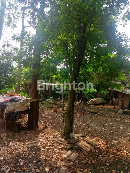 image DIJUAL TANAH SEGERA (7)