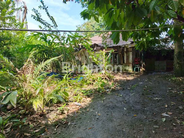 DIJUAL CEPAT TANAH STRATEGIS DEKAT KAMPUS & BANK