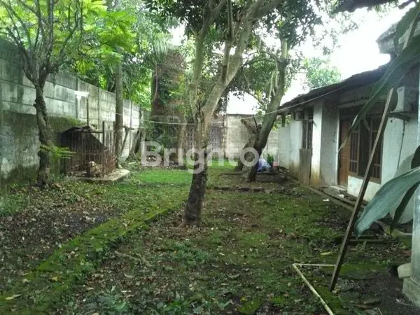image RUMAH ASRI LT 995M² SHM KEBAGUSAN (4)