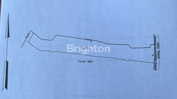 image DISEWAKAN JANGKA PANJANG TANAH PREMIUM DI UBUD  BALI (4)