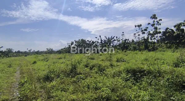 image TANAH DI JALAN UTAMA KOTA BOGOR (4)