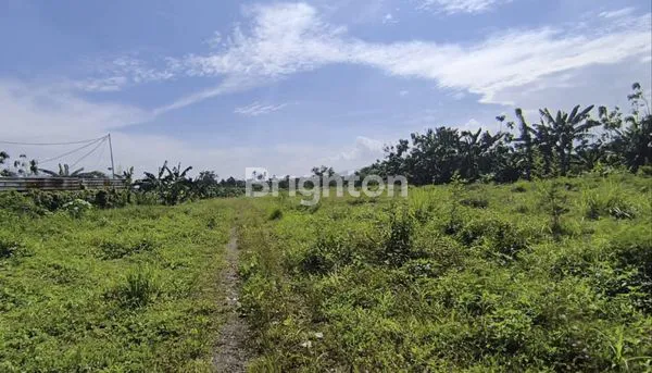image TANAH DI JALAN UTAMA KOTA BOGOR (1)