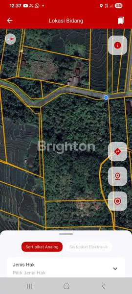 image DIJUAL TANAH KEBUN KAKAU DI MELAYA, JEMBRANA, LINGKUNGAN ASRI DAN SUDAH BISA PANEN (8)