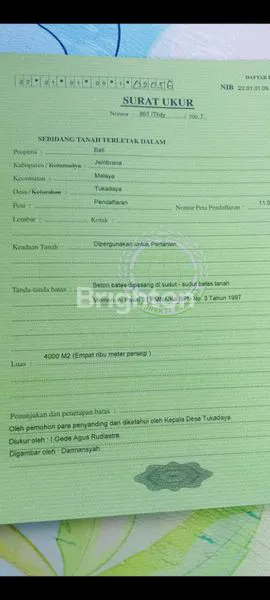 image DIJUAL TANAH KEBUN KAKAU DI MELAYA, JEMBRANA, LINGKUNGAN ASRI DAN SUDAH BISA PANEN (7)