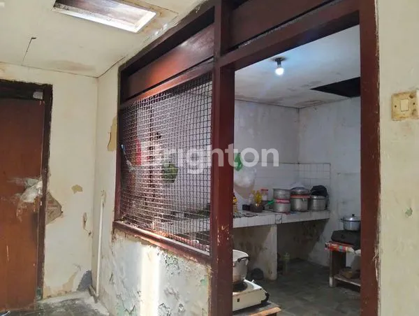 image TENGGILIS MEJOYO (7)