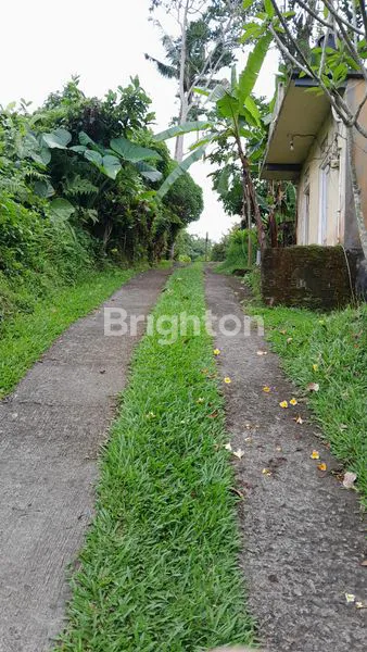 image BELI TANAH BONUS CLAMPING SIAP DISEWAKAN (5)