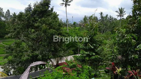 image BELI TANAH BONUS CLAMPING SIAP DISEWAKAN (8)