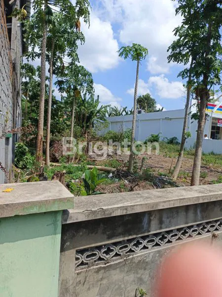 image DIJUAL TANAH STRATEGIS SIAO BANGUN PINGGIR JALAN RAYA KLATEN NGUPIT (2)