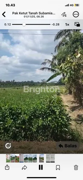 image TANAH UNTUK INVESTASI (2)