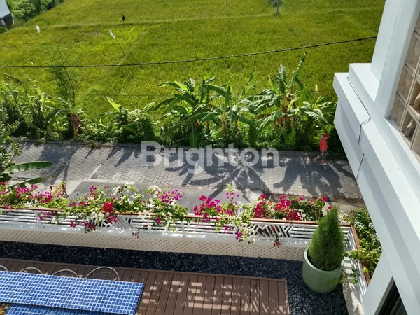 image LUXURY MODERN VILLA WITH PANORAMIC RICE FIELD VIEW IN SANUR KAUH (202V) (3)