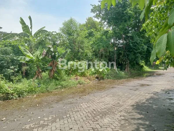 image TANAH STRATEGIS 15X40 DI WEDI GEDANGAN (2)