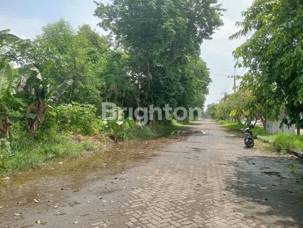 image TANAH STRATEGIS 15X40 DI WEDI GEDANGAN (4)