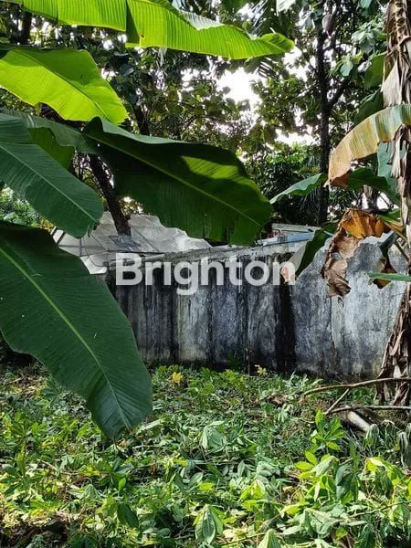 image TANAH DI JLN ALTERNATIF CIBUBUR (1)