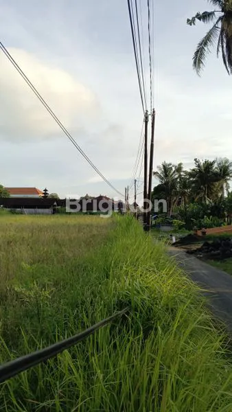 image DISEWAKAN TANAH DAERAH TULIKUP GIANYAR DENGAN WILAYAH STRATEGIS  (2)