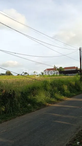 image DISEWAKAN TANAH DAERAH TULIKUP GIANYAR DENGAN WILAYAH STRATEGIS  (3)