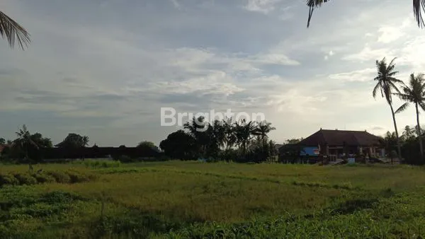 DISEWAKAN TANAH DAERAH TULIKUP GIANYAR DENGAN WILAYAH STRATEGIS