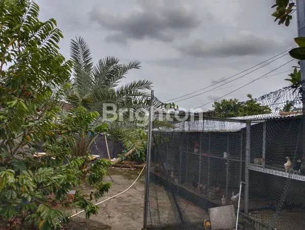 image GEDUNG KANTOR SELUAS 1600 METER DI TEMPAT  YANG SANGAT STRATEGIS DI JL.AMAL MEDAN, SANGAT COCOK UNTUK KANTOR PERBANKAN, KLINIK, HOTEL DLL (6)