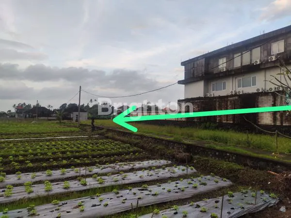 image TANAH DIJUAL DI PENARUNGAN – BALI (2)