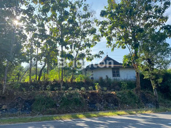 image DI JUAL TANAH DAN BANGUNAN BRAMBANGAN MANYARAN JL. PROPINSI  MANYARAN - WONOGIRI (1)