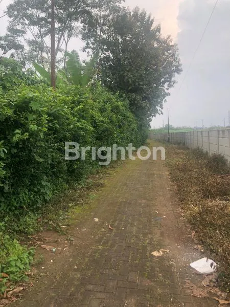 image TANAH DATAR SIAP BANGUN  SEMARANG (4)