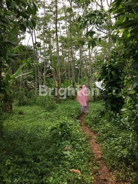 image TANAH DATAR SIAP BANGUN  SEMARANG (2)