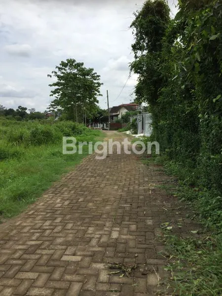 image TANAH DATAR SIAP BANGUN  SEMARANG (3)