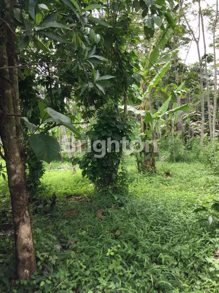 image TANAH DATAR SIAP BANGUN  SEMARANG (1)