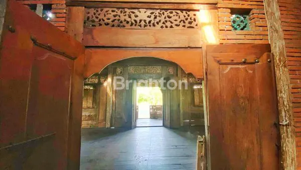 image SEWA RUMAH STRATEGIS DI JL. BYPASS NGURAH RAI, DENPASAR TIMUR — LOKASI SUPER PREMIUM, HARGA TERBAIK! (5)