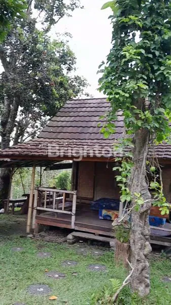 image BELI TANAH BONUS CAMPING SIAP DISEWAKAN (8)