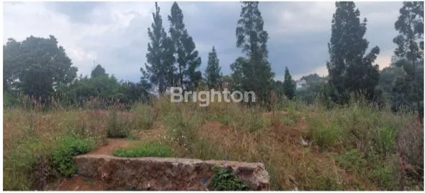 image DAGO KAMPUNG PADI – TANAH LUAS 4.060 M² DENGAN UDARA SEJUK & PEMANDANGAN HIJAU (3)